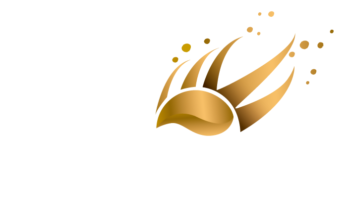 Revista Nino Prodigio